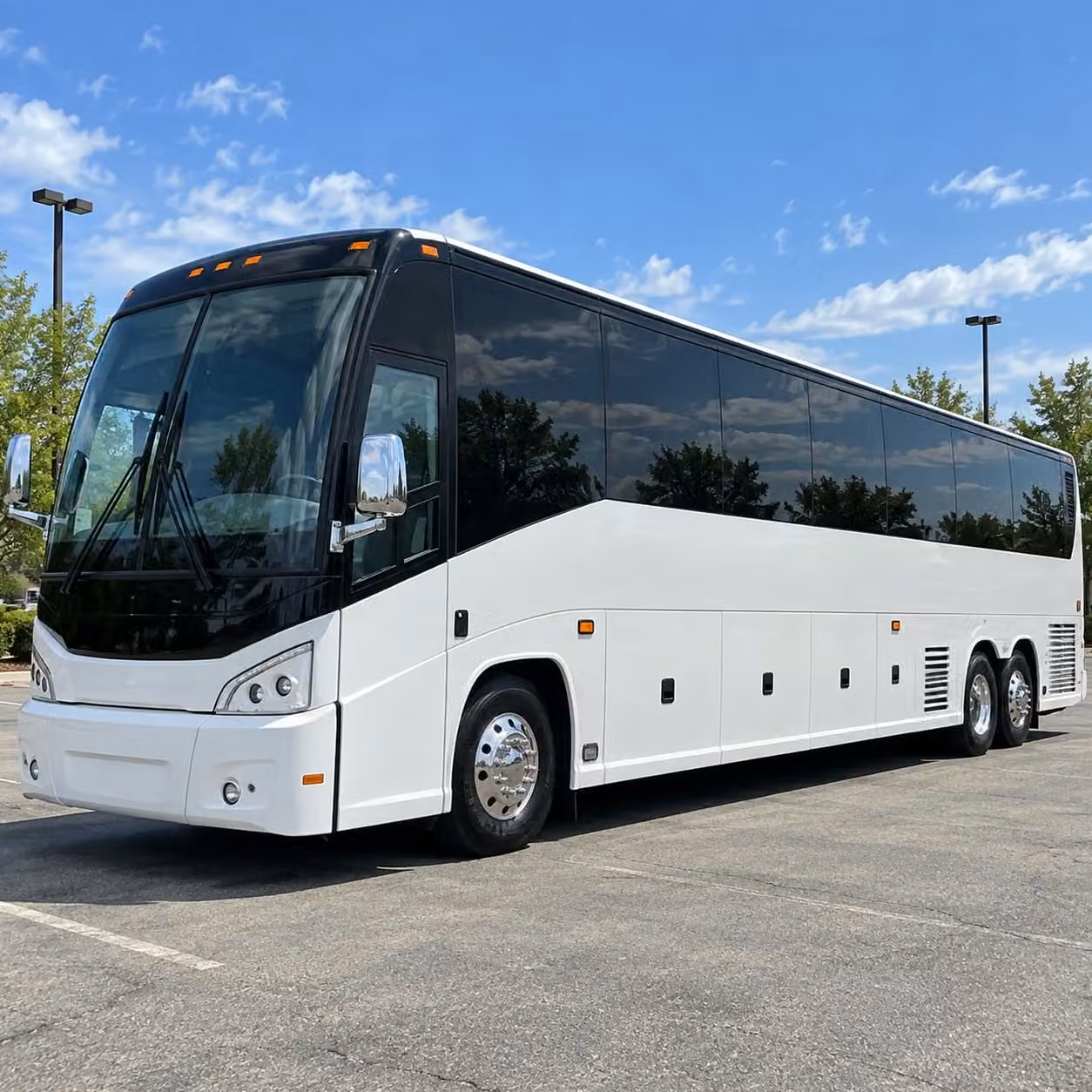 56 passenger charter bus